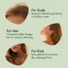 Nature Spell Rosemary Oil for Hair Growth, Pre-Diluted Oil to Strengthen and Nourish Dry, Damaged Strands, For All Hair Types, 150ml